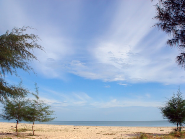 Foto schöner meerblick des strandes und des himmels mit weißer wolke im sommer