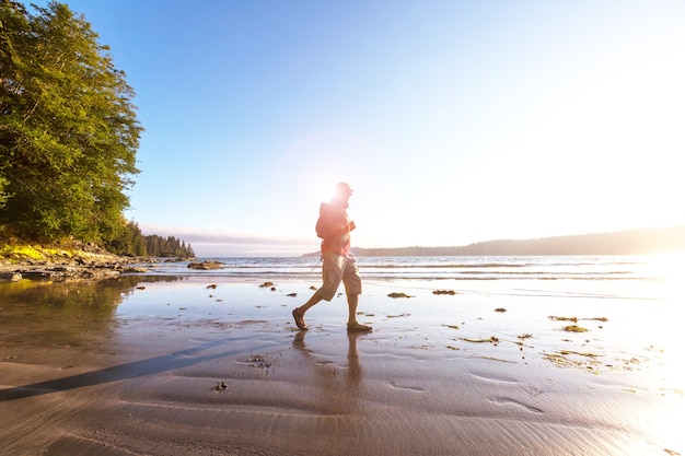 Schöner Meerblick entlang der Pazifikküste von British Columbia, Kanada, mit felsiger Küstenlinie.