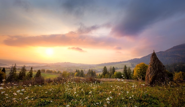 Schöner Morgen in den Bergen mit weißen Blumen und malerischem Tal Naturlandschaft Panorama Karpaten Berge Ukraine Europa