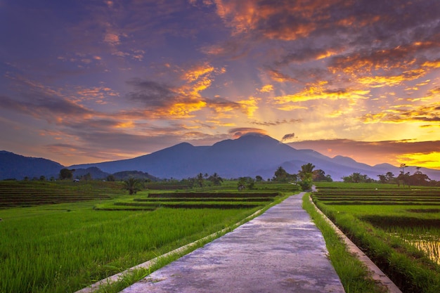 Schöner Morgenblick auf Indonesien Panoramablick auf Reisfelder und Berge bei Sonnenaufgang