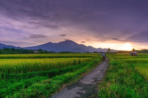 Schöner Morgenblick Indonesien Panorama Landschaftsreisfelder mit Schönheitsfarbe und natürlichem Himmel