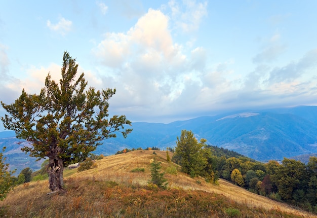 Schöner Morgenherbstberg (Karpatenberg, Ukraine)