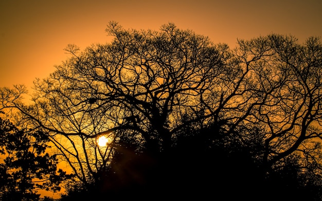 schöner morgensonnenaufgangblick in naju südkorea