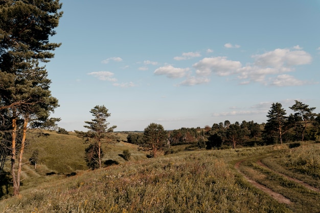 Foto schöner naturblick mit wiese