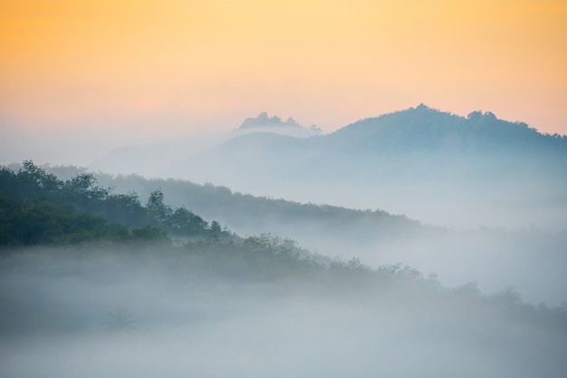 Schöner Nebel am Morgen