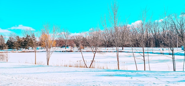 schöner Park bei kaltem Wetter und Schnee