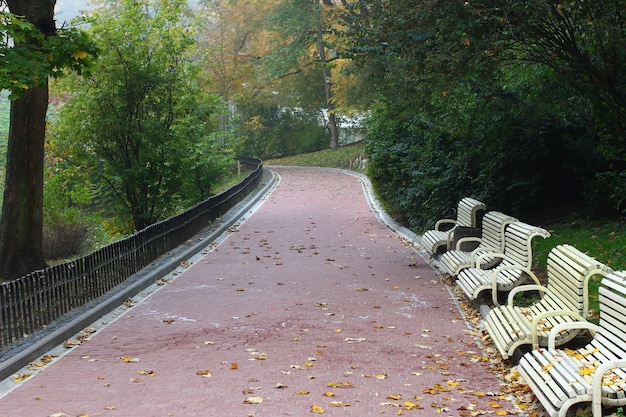 Schöner Park im Nebel