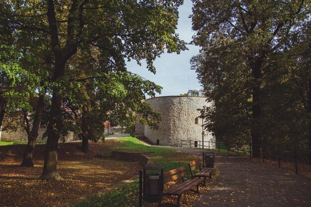 Schöner Park im Schloss der Stadt Przemysl