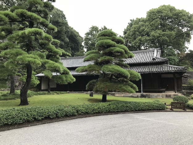 Schöner Park in Japan