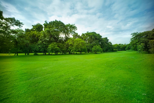 schöner Parkhintergrund