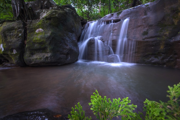 Schöner Regenwald und Wasserfall bei Thailand.