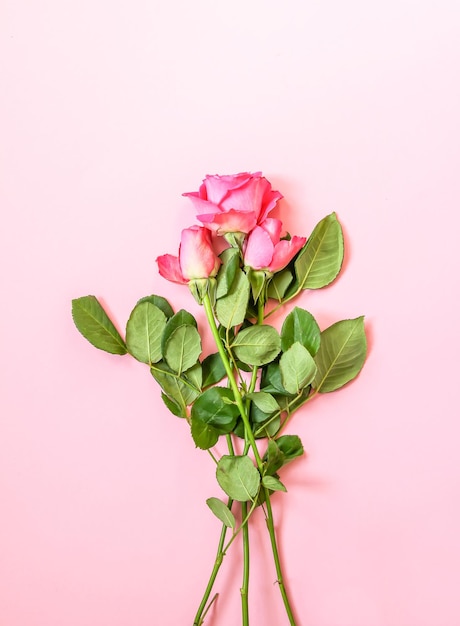 Schöner rosafarbener Rosenblumenstrauß auf weichem Hintergrund