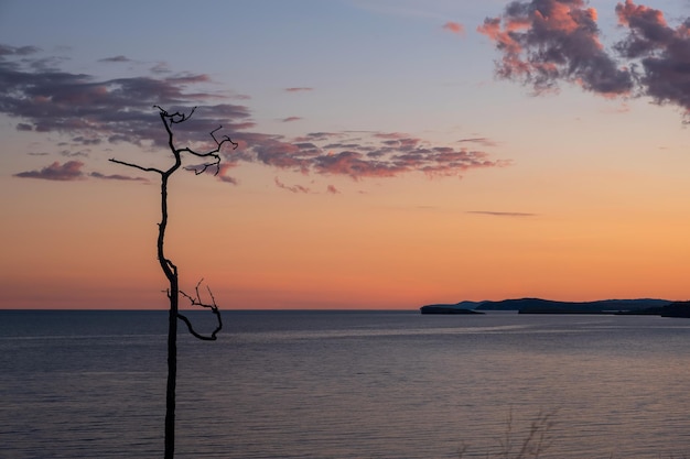 Schöner roter Sonnenuntergang über dem Baikalsee auf der Insel Olchon mit Berg und ausgetrocknetem Baum.