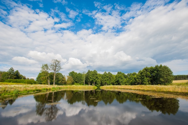 Schöner ruhiger See mit Bäumen auf dem Horizont und weißen geschwollenen Wolken im Himmel. Ruhiger Sommertag in der Hütte. Große grüne Bäume an einem See