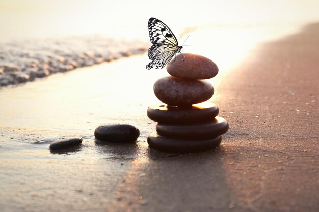 Foto schöner schmetterling und steine am sandstrand in der nähe des meeres bei sonnenuntergang zen-konzept