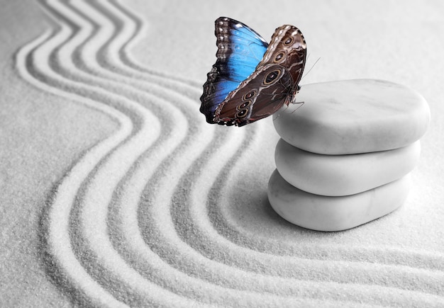 Foto schöner schmetterling und steine auf weißem sand mit muster zen-konzept