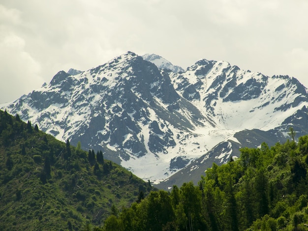 Schöner Schneeberg nach grüner Gebirgslandschaft