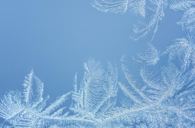 Foto schöner schneefall weihnachten frohes neujahr winter hintergrund