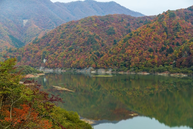 Schöner See im Herbst