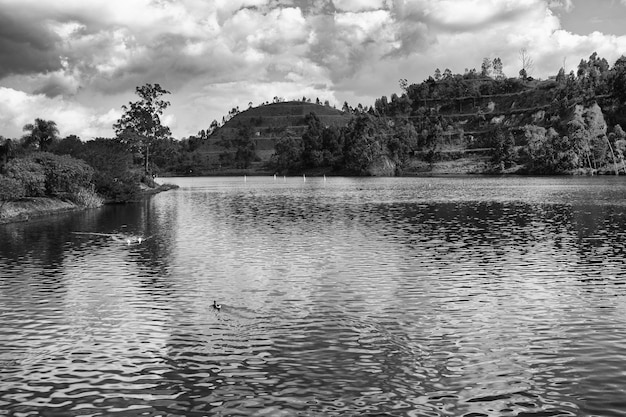 Schöner See im Park