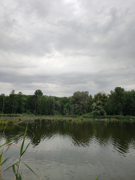 Schöner See im Wald