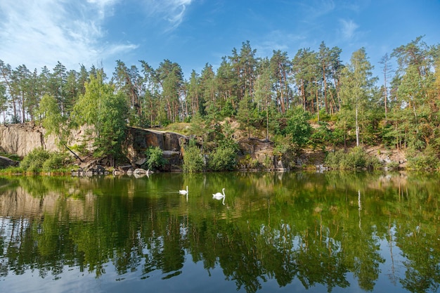 Schöner See mit einer Schlucht, auf der Schwäne mit blauem Himmel schwimmen