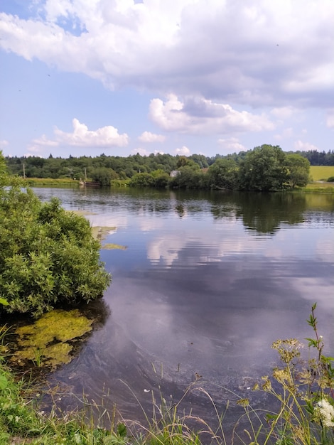 Schöner Seeblick mit Schilf und Wald. Naturlandschaft. Natur Hintergrund