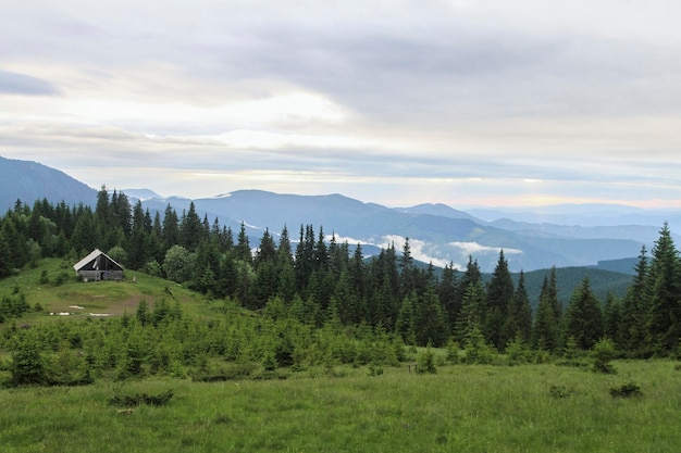 Schöner Sommer Waldlandschaft Panoramablick Wandern Reisen Outdoor-Konzept Blick auf die Berge Reise in die Karpaten Ukraine