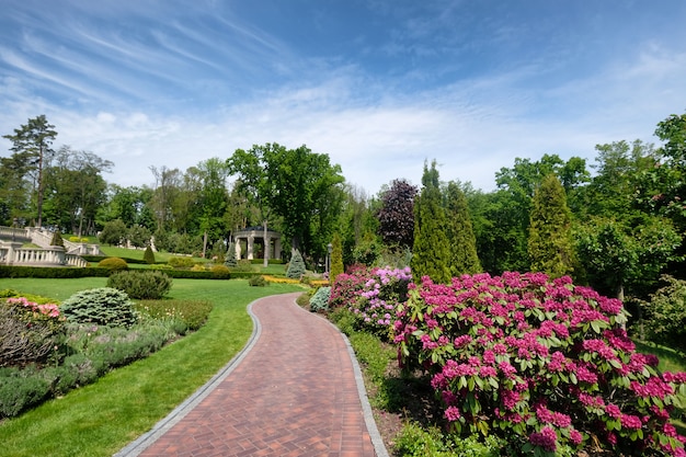 Schöner Sommerpark mit Landschaftsdesign