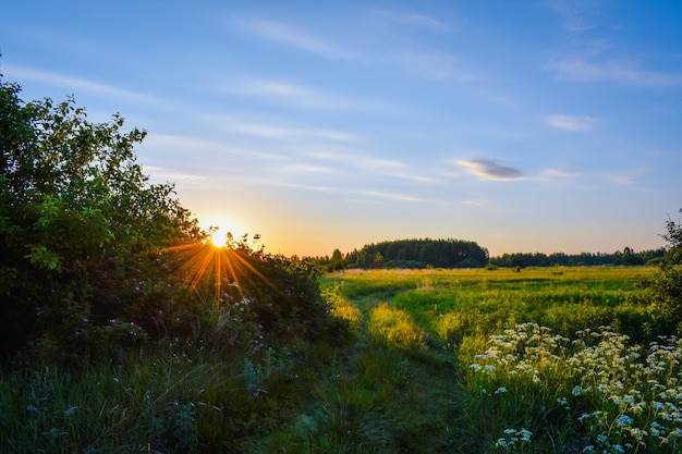 Schöner Sonnenaufgang im Feld