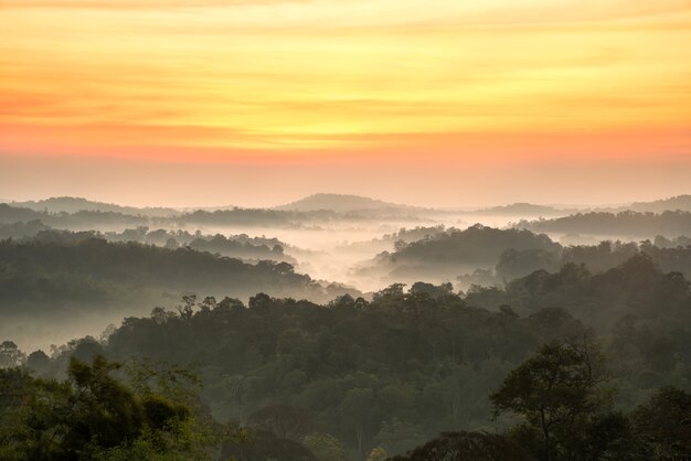 schöner Sonnenaufgang im Gebirgslandschaftswald