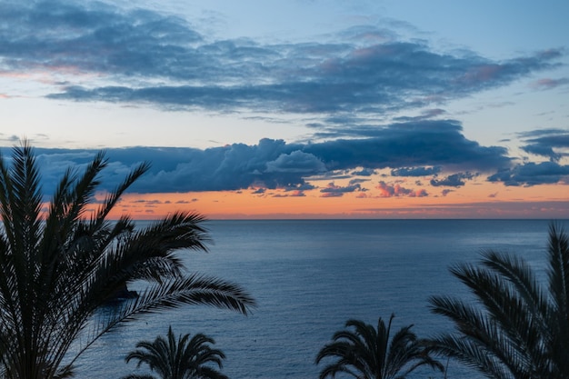 Schöner Sonnenaufgang mit Wolken, Palmen und dem Ozean in der frühen Morgendämmerung Erstaunliche Aussicht