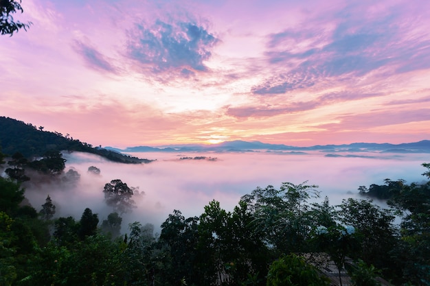 Schöner Sonnenaufgang oder Sonnenuntergang mit dem Nebel, der in die schöne Landschaft des Berges fließt