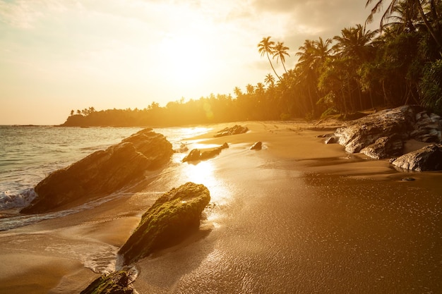Schöner Sonnenuntergang am Strand in einem tropischen Resort in der Karibik
