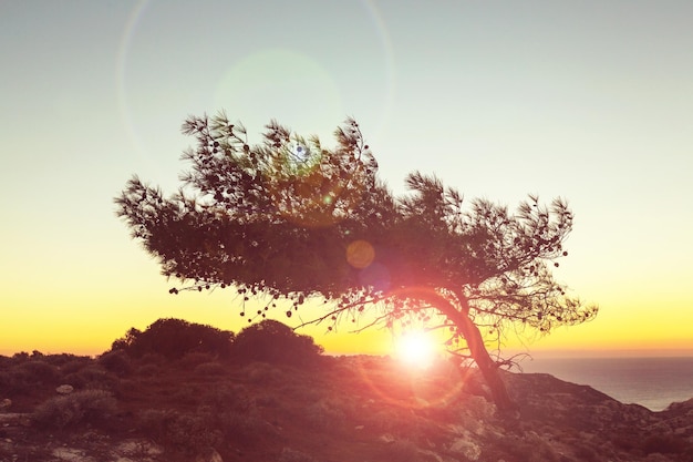 Schöner Sonnenuntergang an der Küste Zyperns