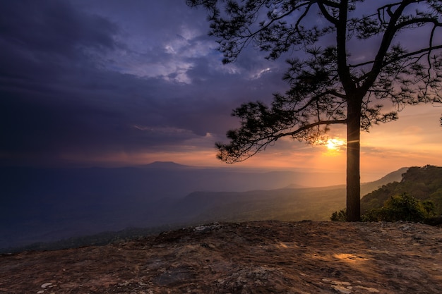 Schöner Sonnenuntergang auf dem hohen Berg in Nationalpark Phu-Kra-düeng Loei-Provinz, Thailand.