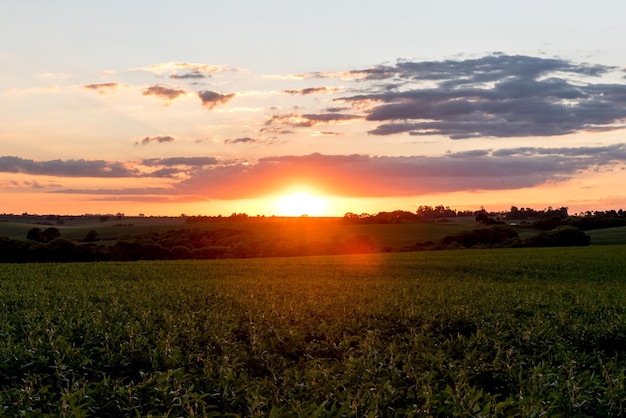 Schöner Sonnenuntergang auf dem Land in Brasilien orange Himmel goldenes Licht