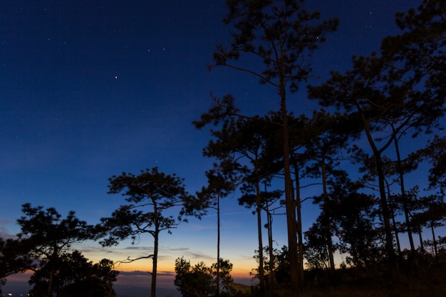 Schöner Sonnenuntergang bei Phukradung National Park, Loei, Thailand