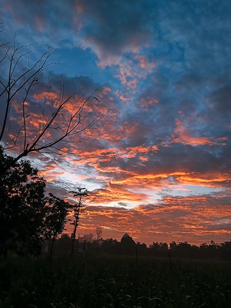 schöner sonnenuntergang roter blauer himmel