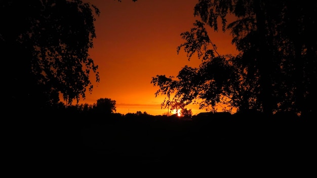 Schöner Sonnenuntergang Sonnenaufgang Sonne Sonnenschein im sonnigen Frühling Nadelwald