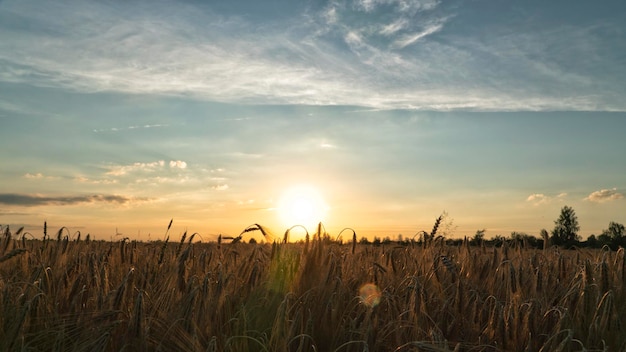 Schöner Sonnenuntergang über dem Herbst abgelegt