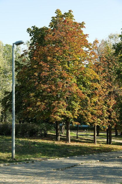 Schöner Stadtpark am hellen sonnigen Morgen