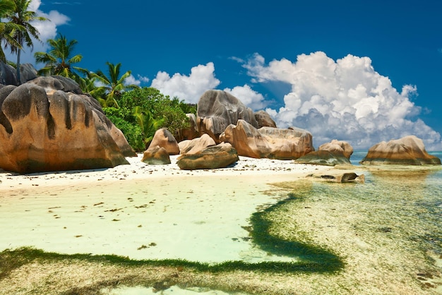 Schöner Strand auf den Seychellen