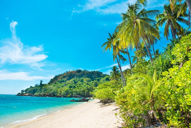 Schöner Strand auf der tropischen Insel mit Palmen, weißem Sand und blauem Meer