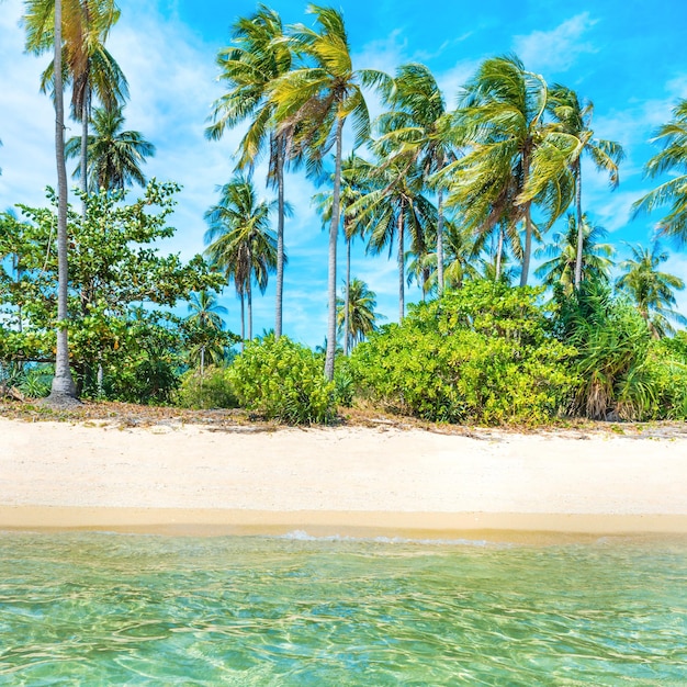 Schöner Strand auf der tropischen Insel mit weißem Sand der Palmen und blauem Meer