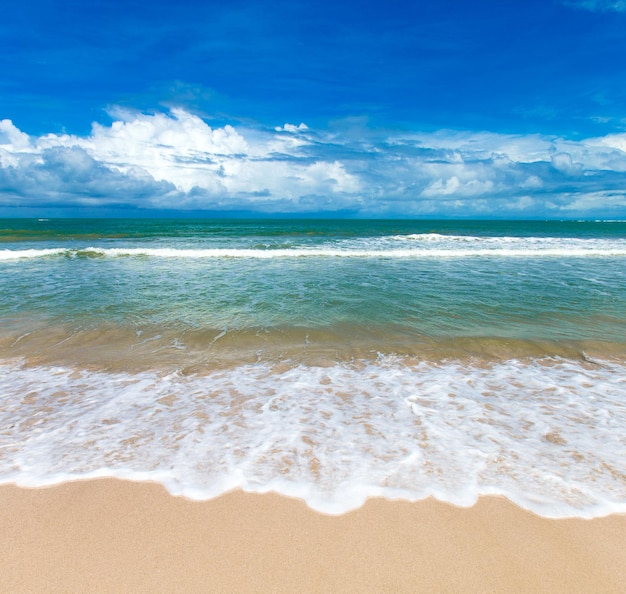 Schöner Strand Blick auf den schönen tropischen Strand mit Palmen rund um Urlaubs- und Urlaubskonzept