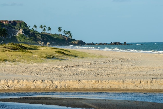 Schöner Strand Conde in der Nähe von Joao Pessoa Paraiba Brasilien