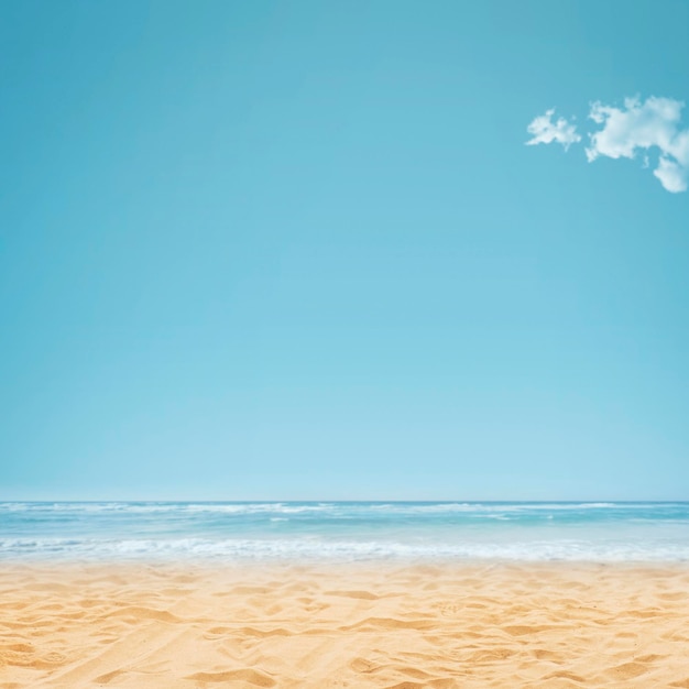 Schöner Strand mit goldenem, sauberem Sand und Meereswellen, Sommerurlaub und Naturkonzept