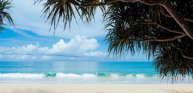 Schöner Strand mit Palmen und stimmungsvollem Himmel Sommerurlaub Reise Urlaub Hintergrundkonzept