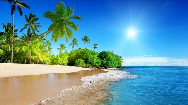 schöner Strand mit weißem Sand und Baumkopf